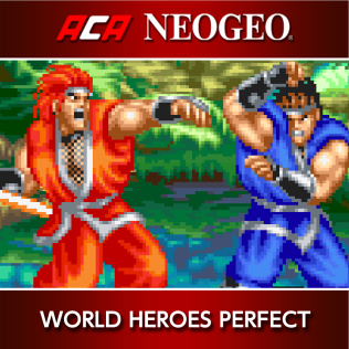 世界英雄完美版-游戏公社