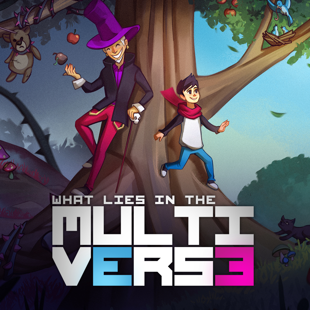 What Lies In The Multiverse