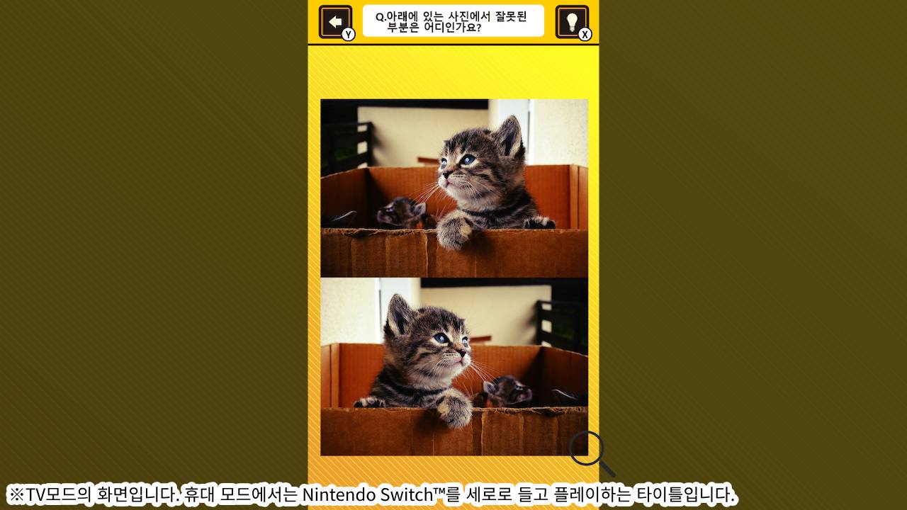 뇌를 단련하자! 냥이 사진에서 틀린부분 찾기