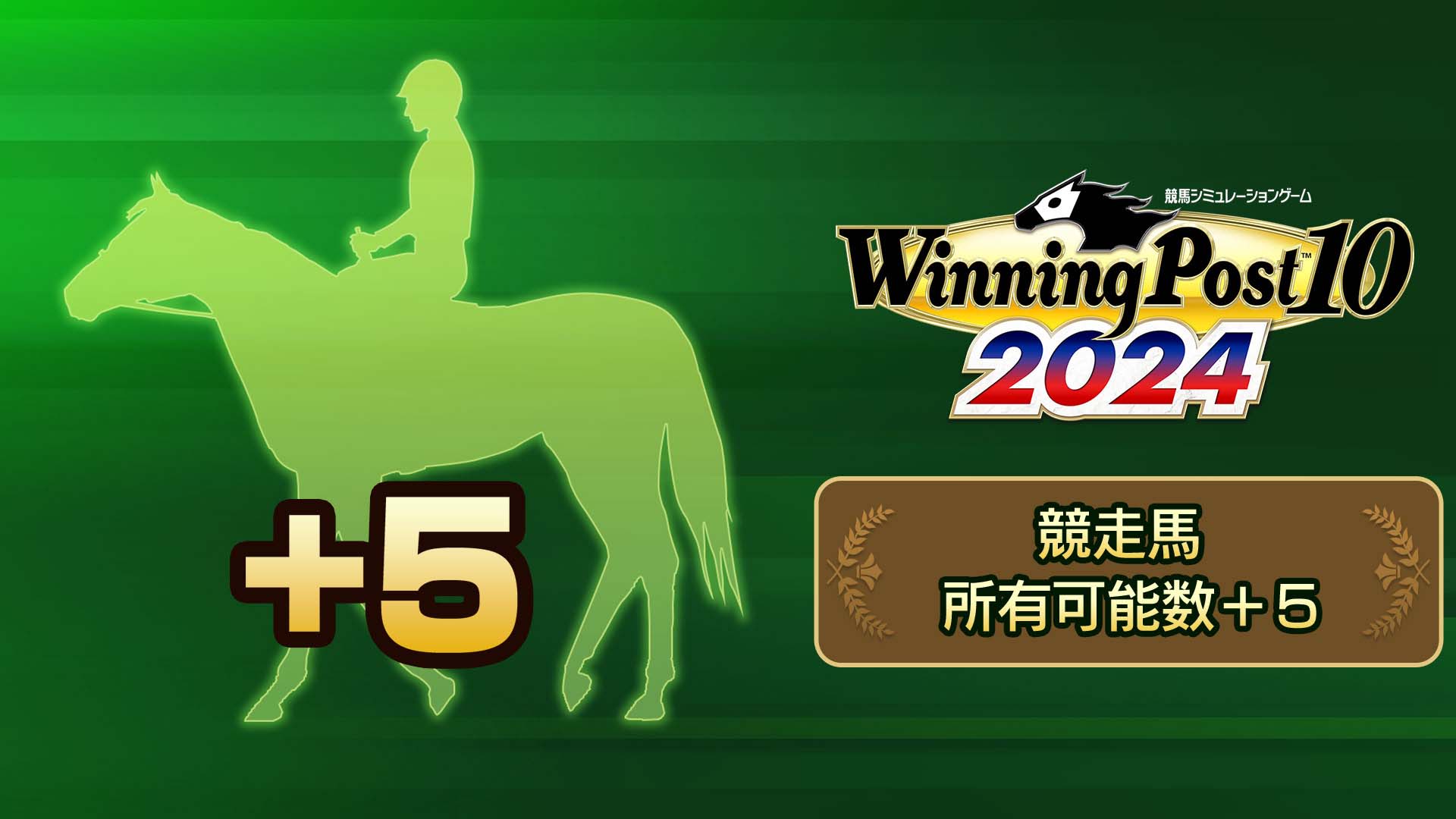 WP10 2024 竞走马 所有可能数＋５