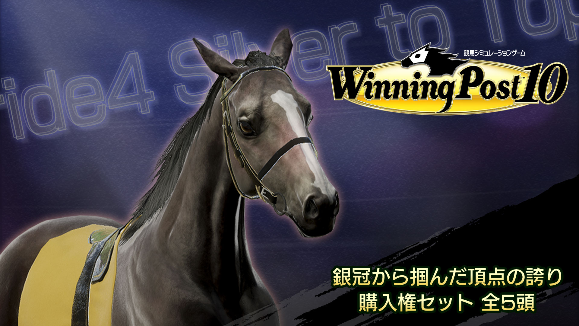 WP10 銀冠から掴んだ頂点の誇り 購入権セット 全５頭
