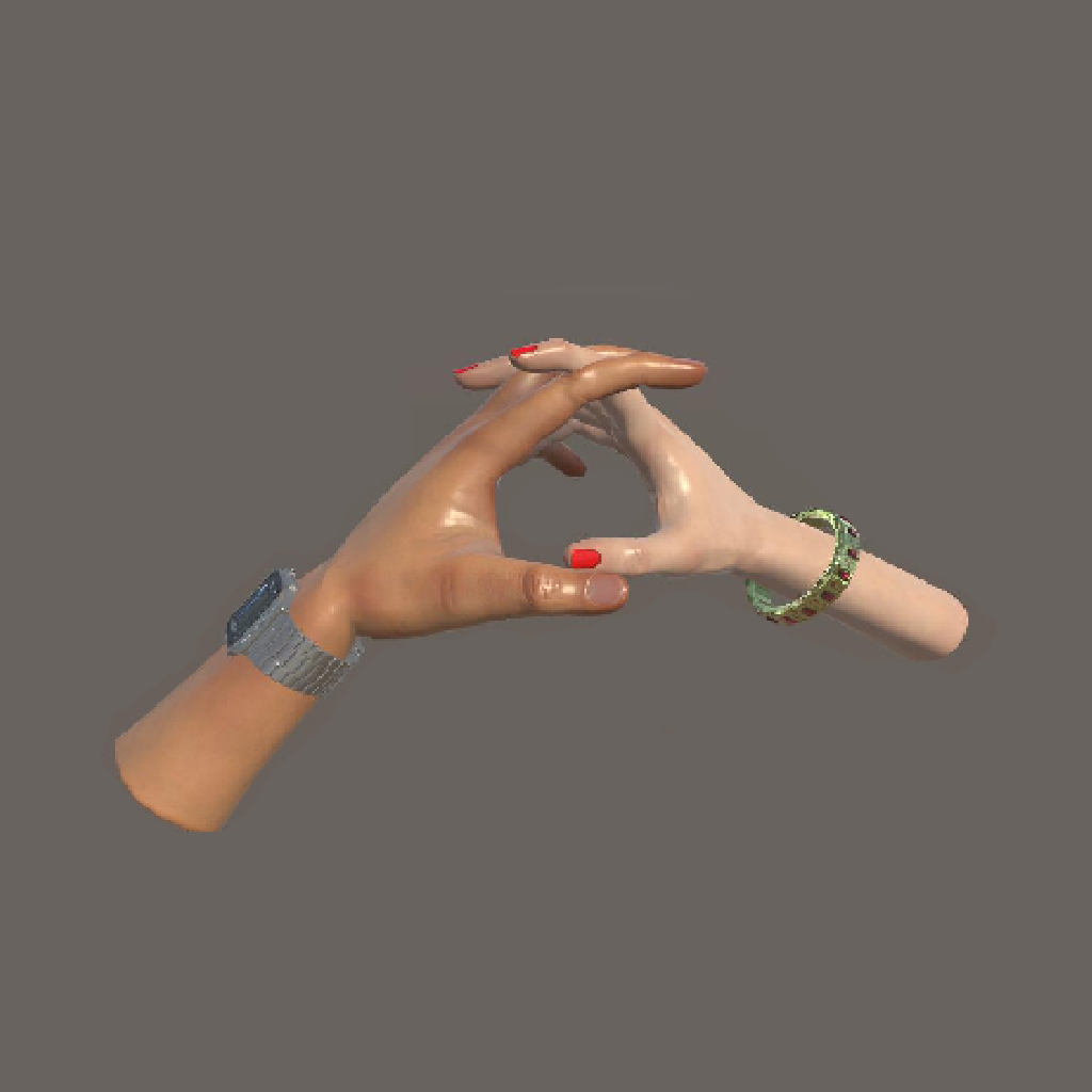Hypotheses on the Symmetry between Vision and Hands