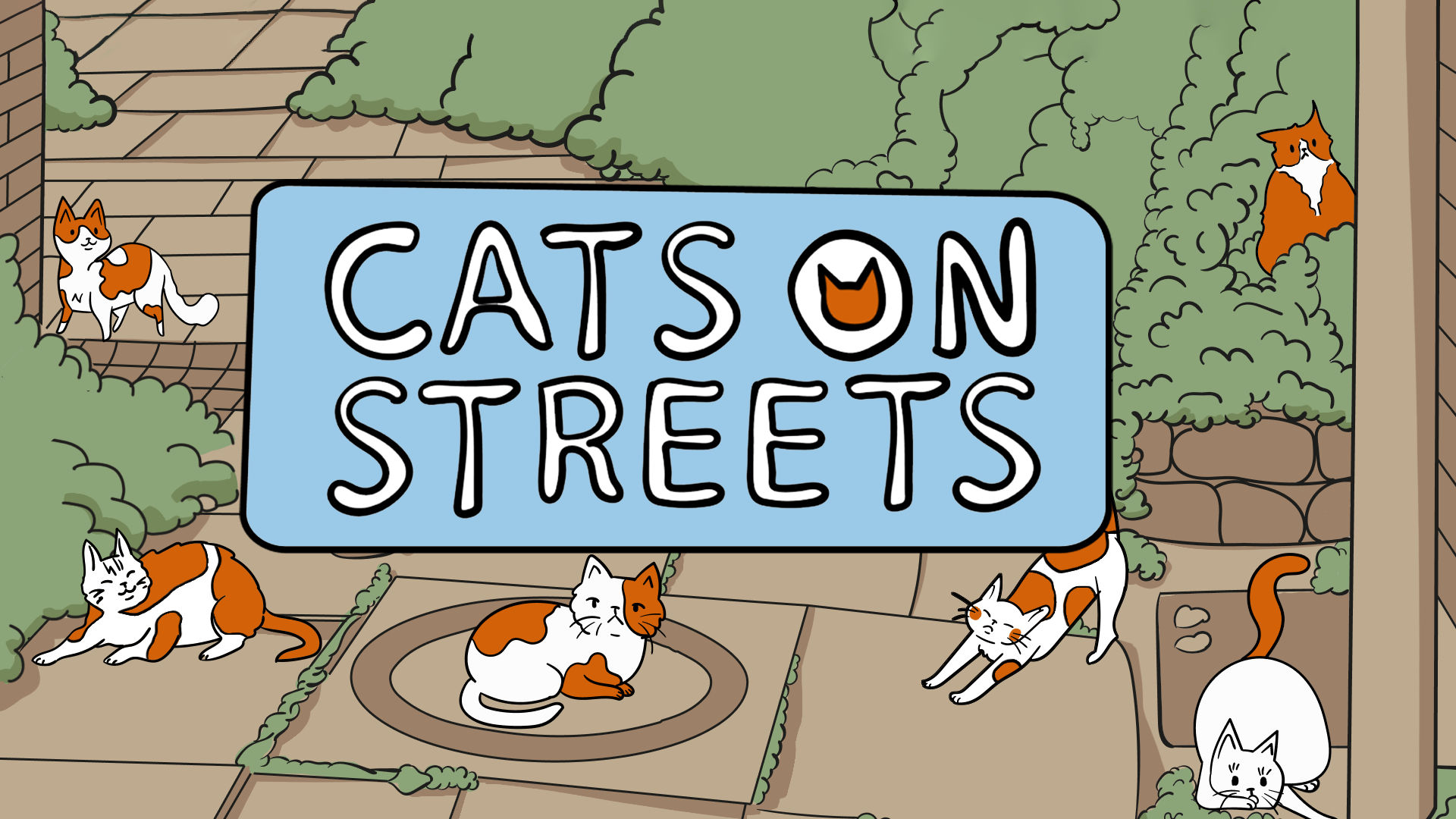 Cats on Streets