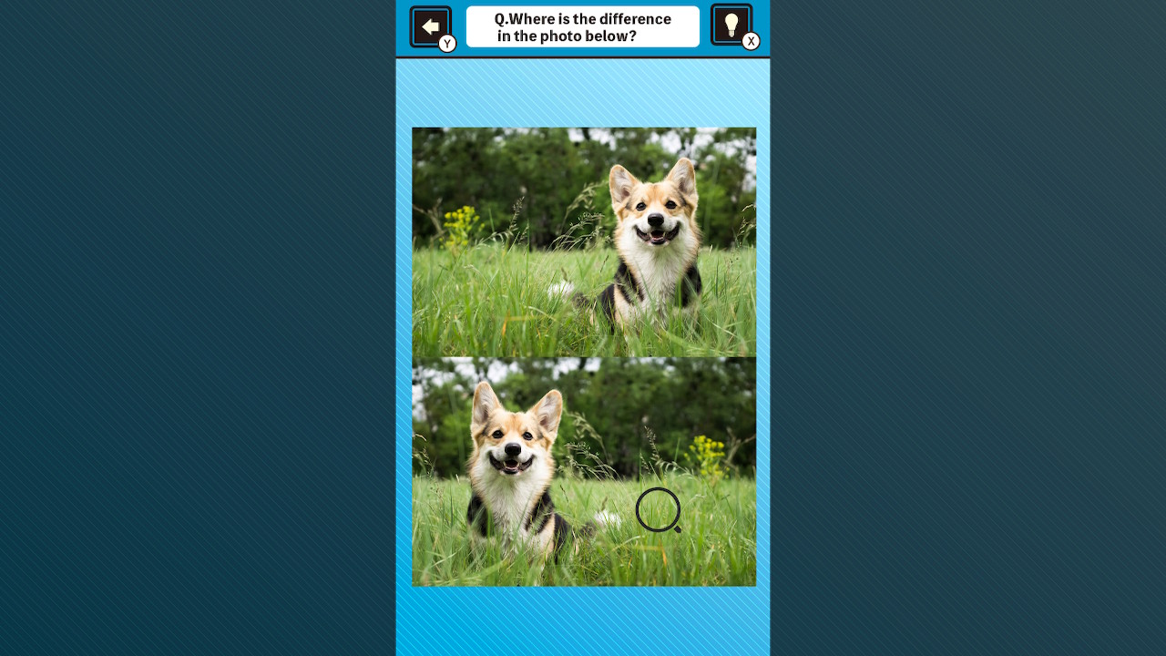 Train Your Brain! Spot the Difference with Dog Photos