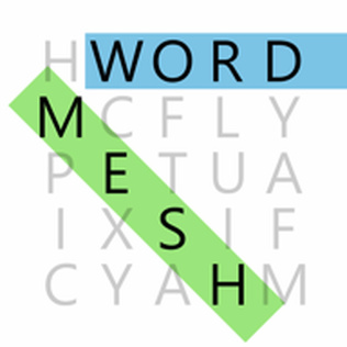 Word Mesh-游戏公社