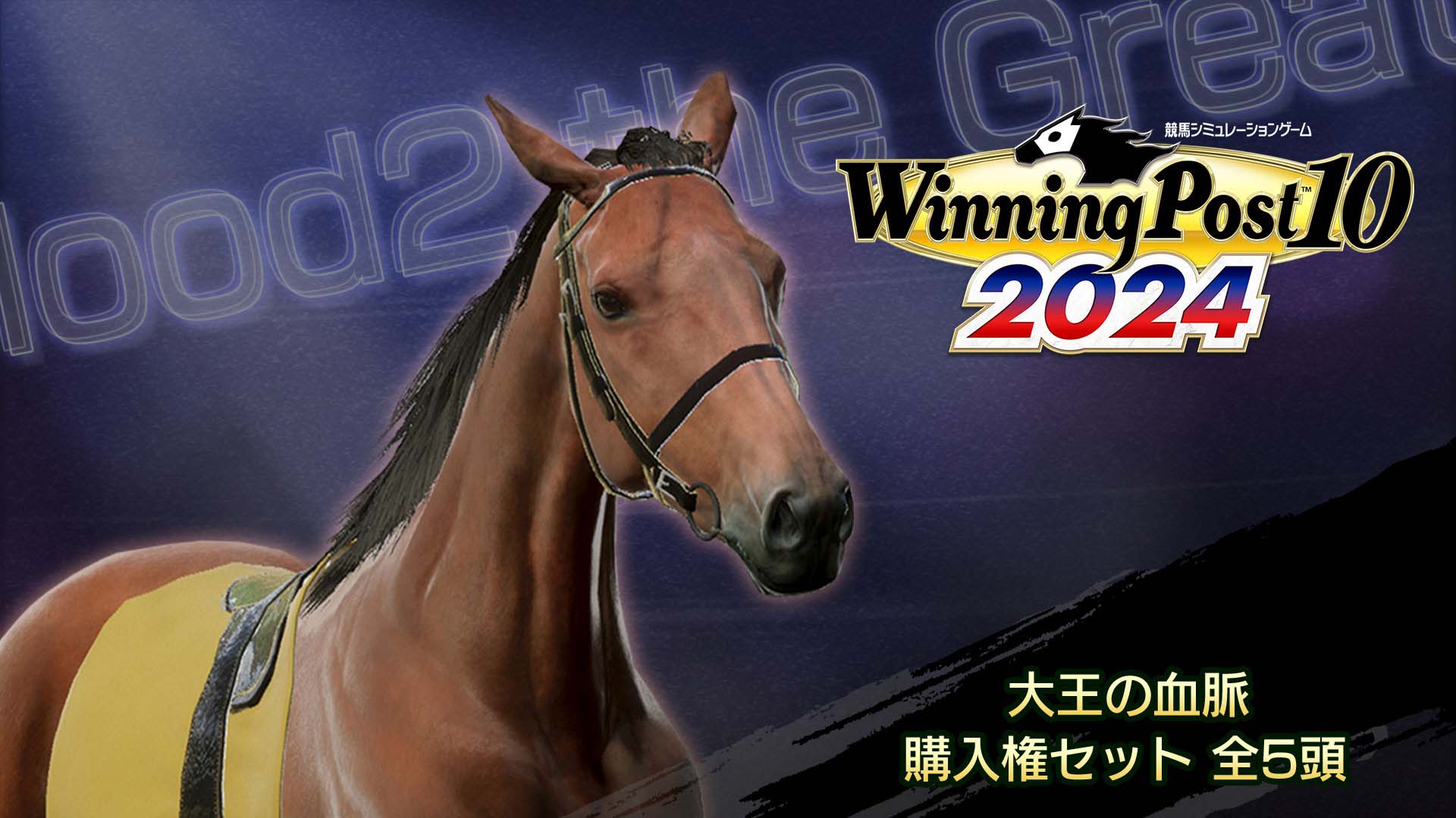 WP10 2024 大王の血脈 購入権セット 全５頭