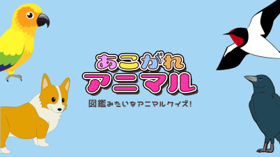 あこがれアニマルー図鑑みたいなアニマルクイズ!ー