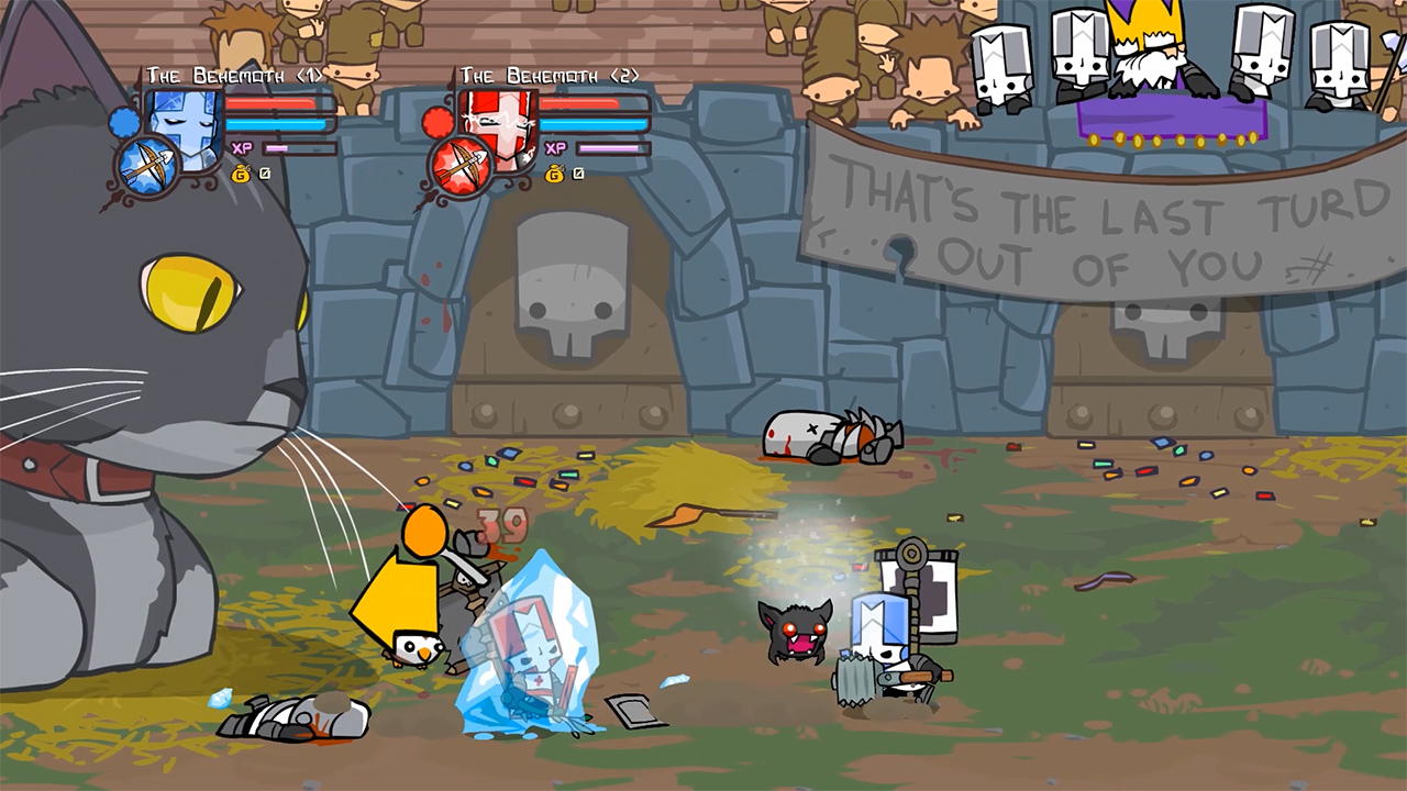 castle crashers 2 characters controlled