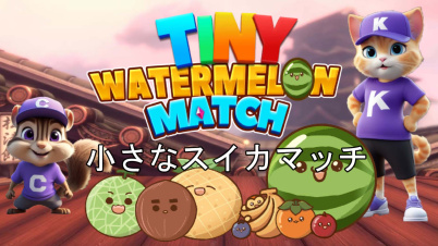 小さなスイカマッチ