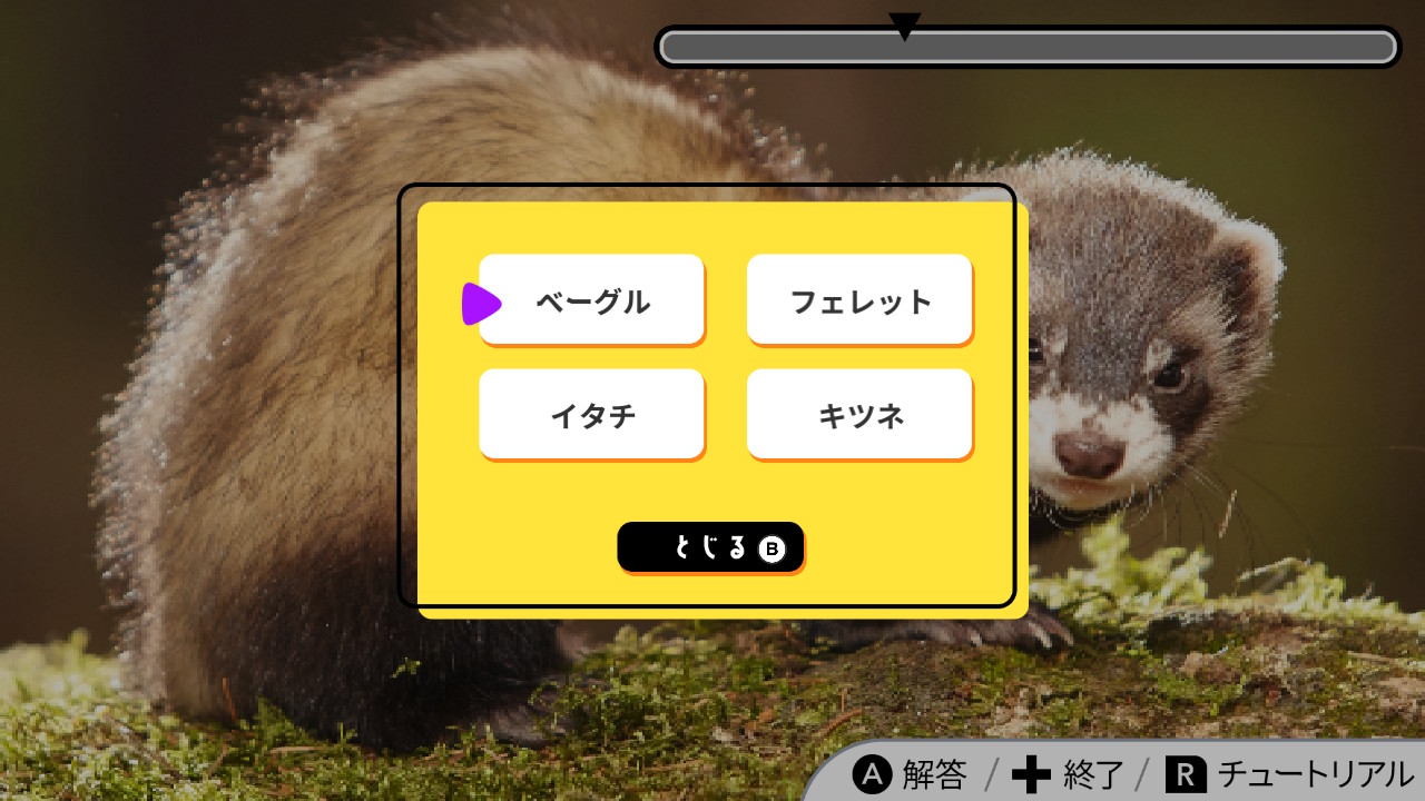 ビジュアルクイズこれな〜んだ?ー写真で脳トレひらめきクイズゲームー