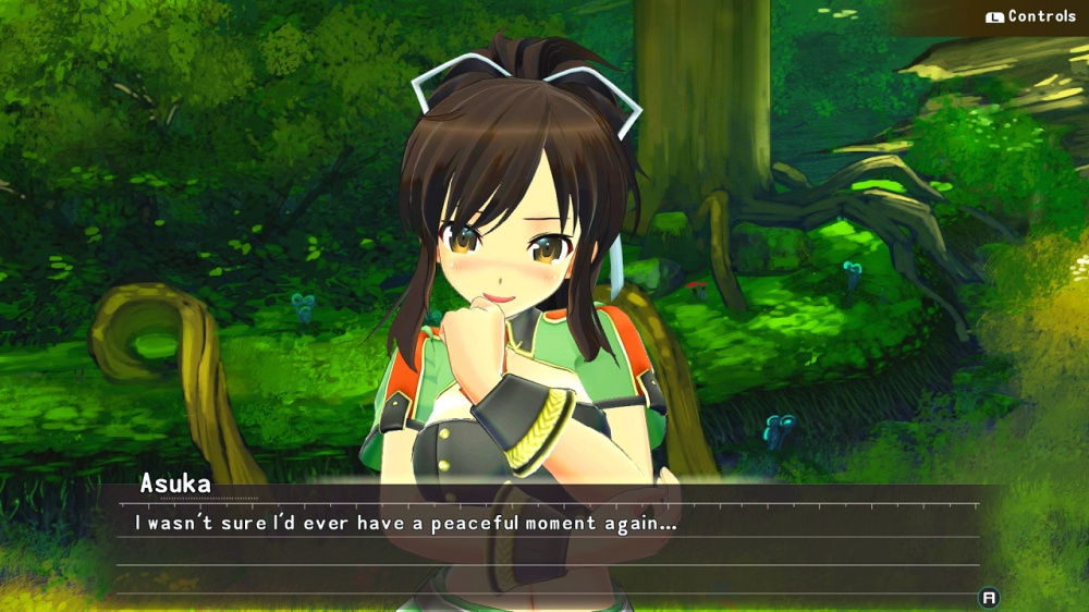 Senran Kagura Reflexions (Limited Run Games) 