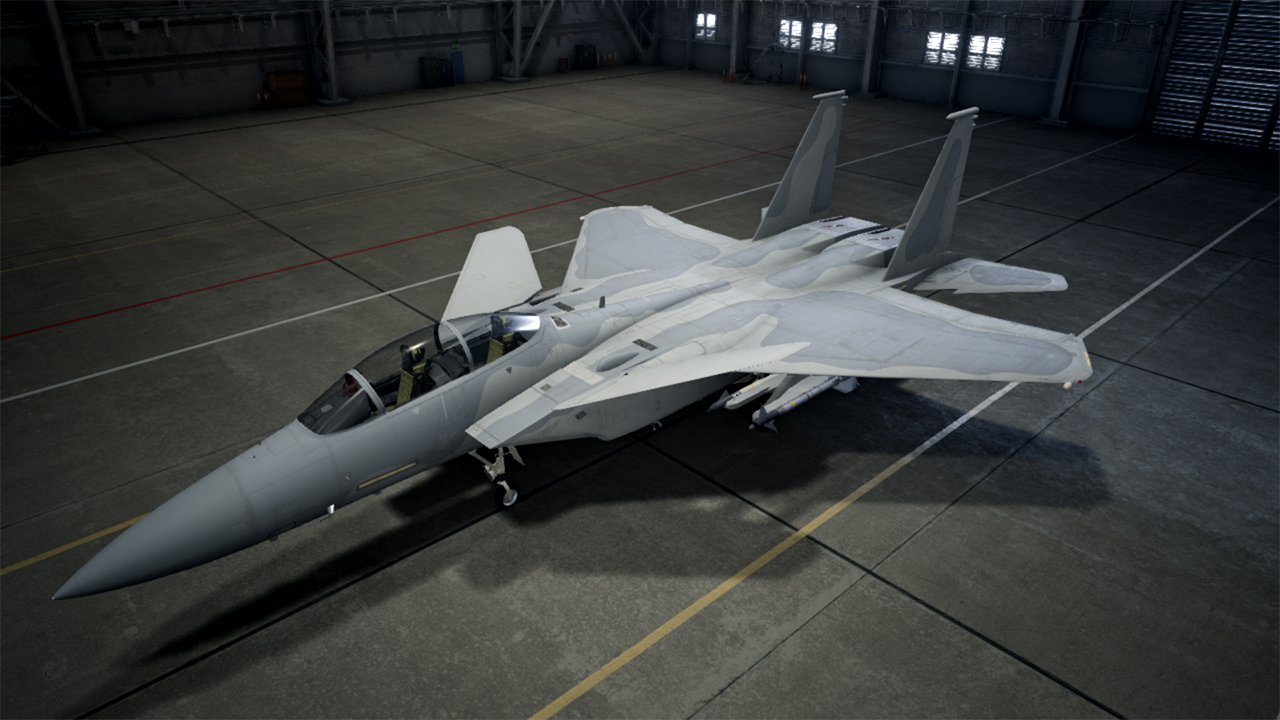 ACE COMBAT™ 7: SKIES UNKNOWN - F-15 S/MTD Set