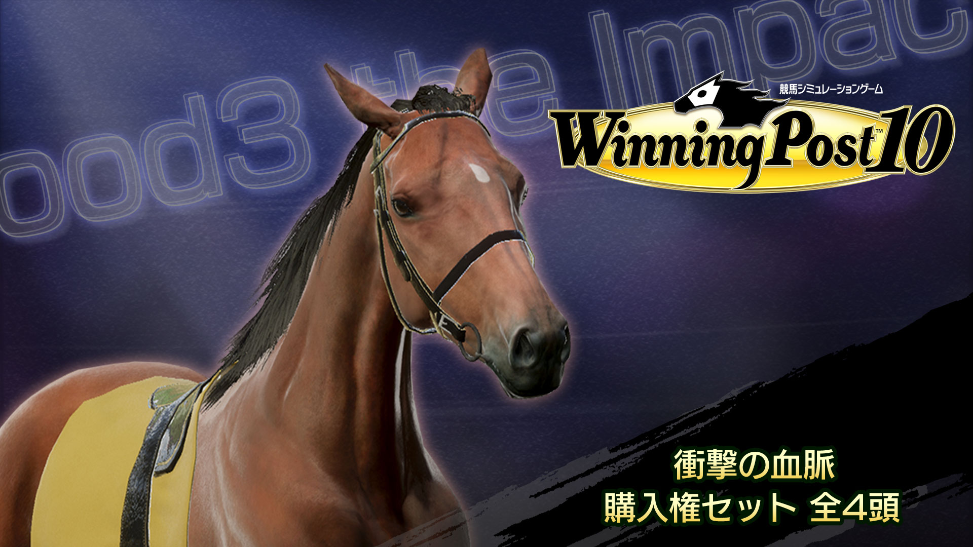 WP10 衝撃の血脈 購入権セット 全４頭