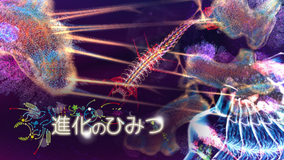 進化のひみつ