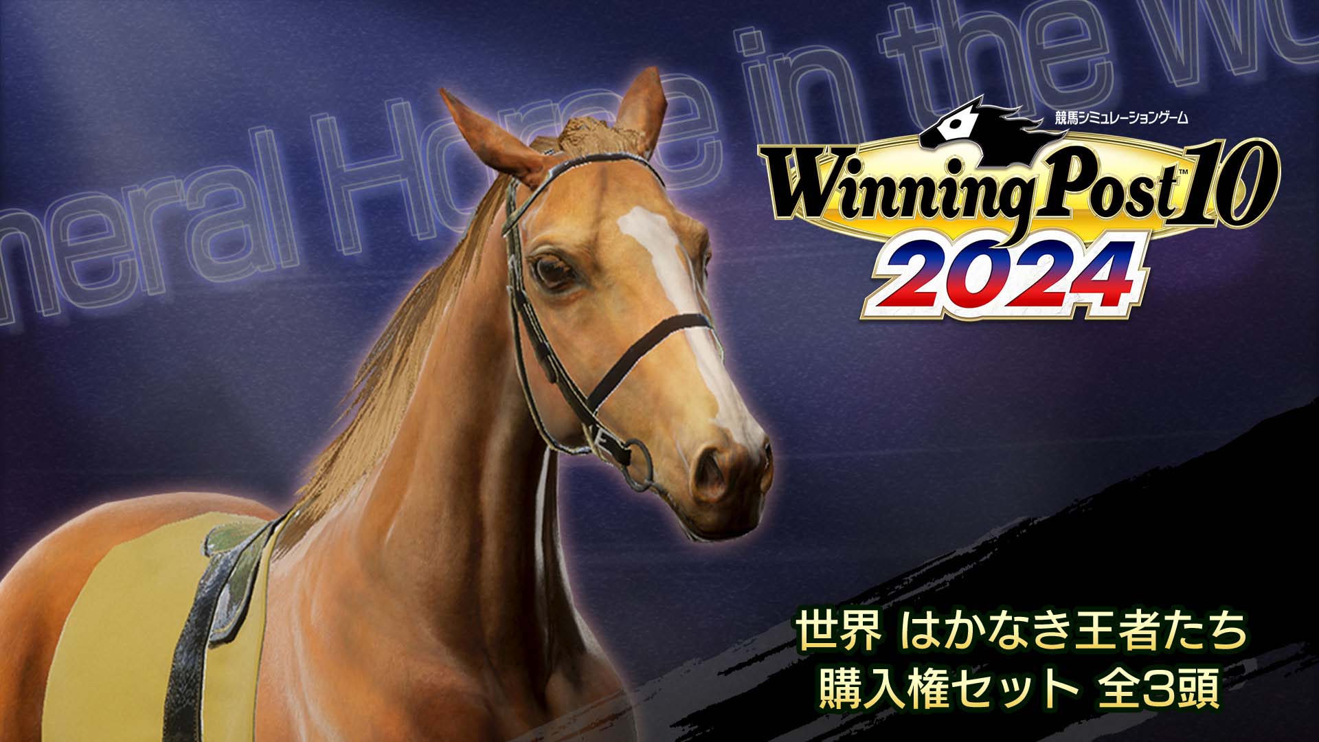 WP10 2024 世界 はかなき王者たち 購入権セット 全３頭