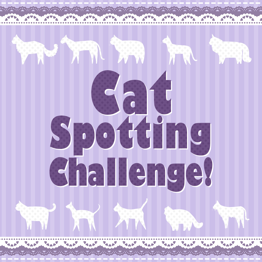 Cat Spotting Challenge!