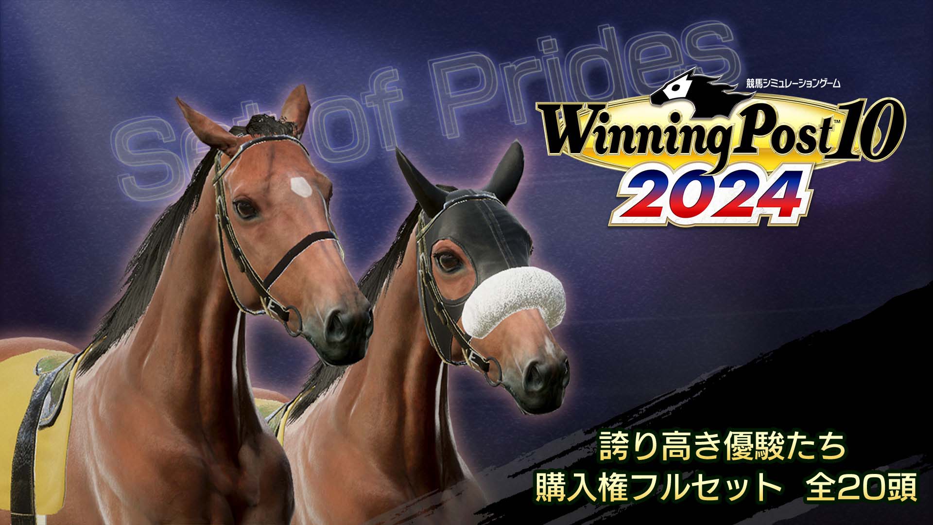 WP10 2024 誇り高き優駿たち 購入権フルセット 全２０頭