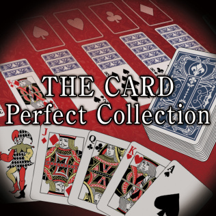 THE CARD Perfect Collection-游戏公社