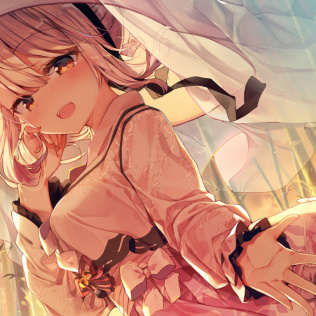 狐狸在等我-游戏公社