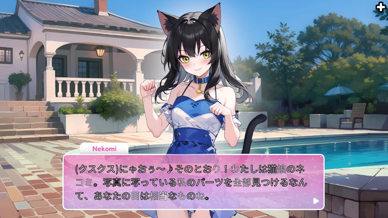 Hentai Party