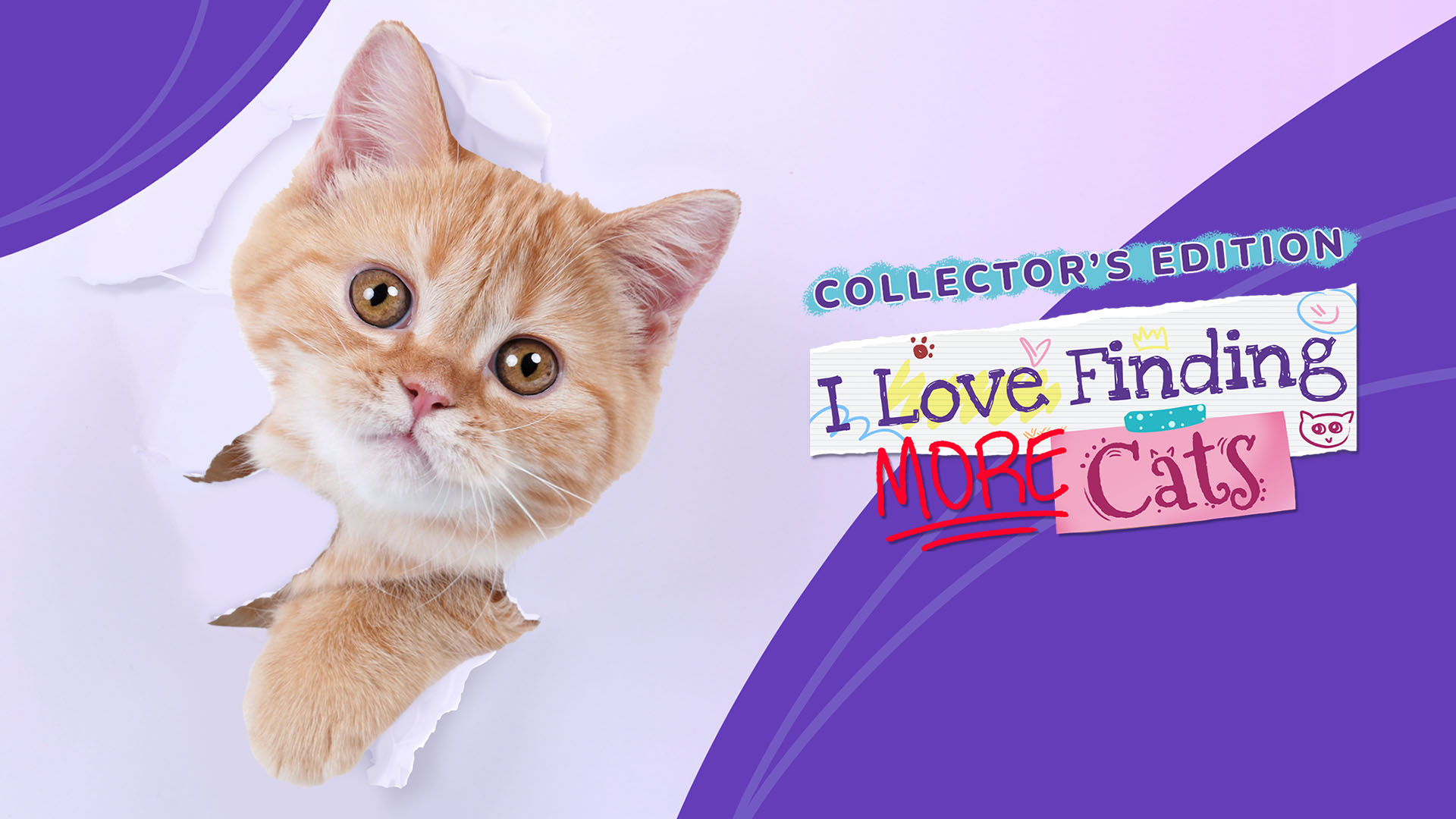 I Love Finding MORE Cats! Collector's Edition/Nintendo Switch/eShop  Download