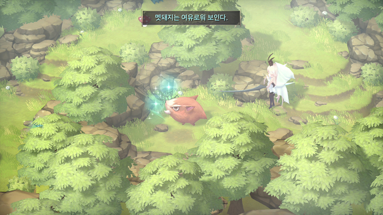 마녀의 샘3 Re:Fine <인형마녀 아이루디의 이야기> screenshot