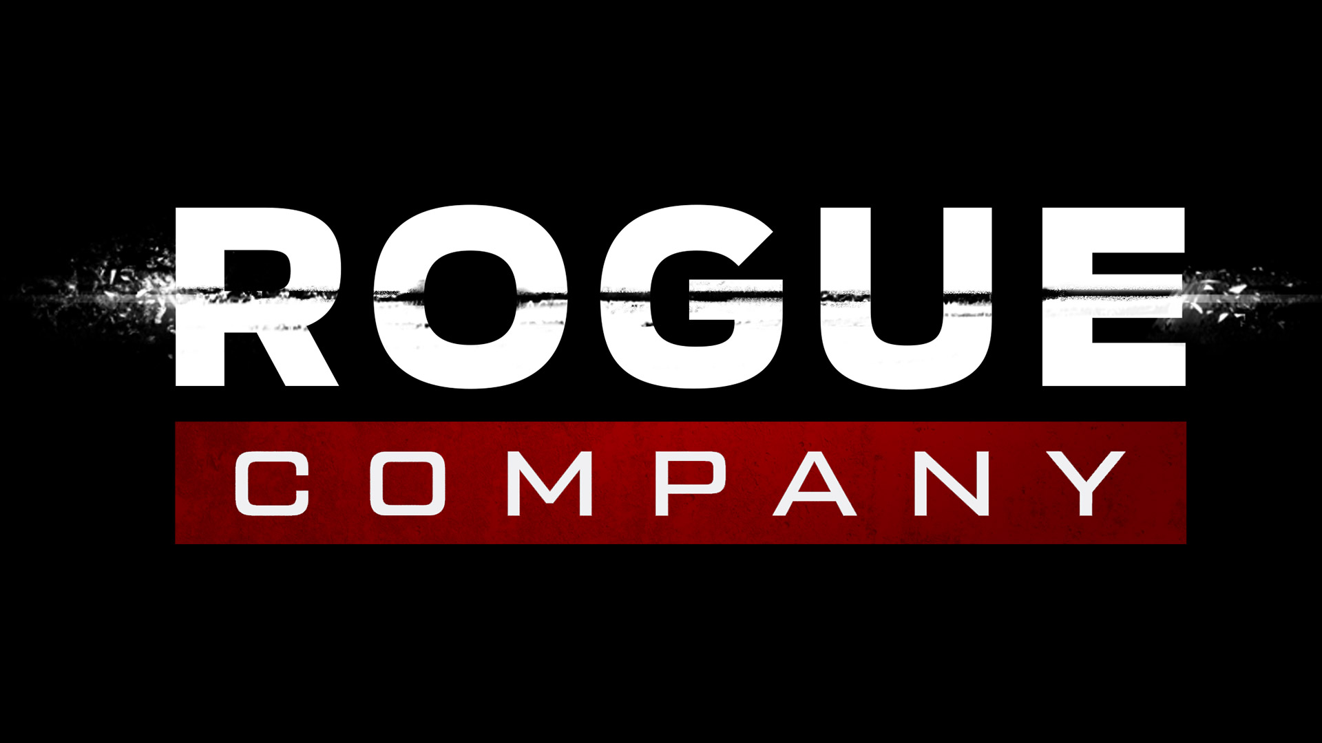 Rogue Company Demo