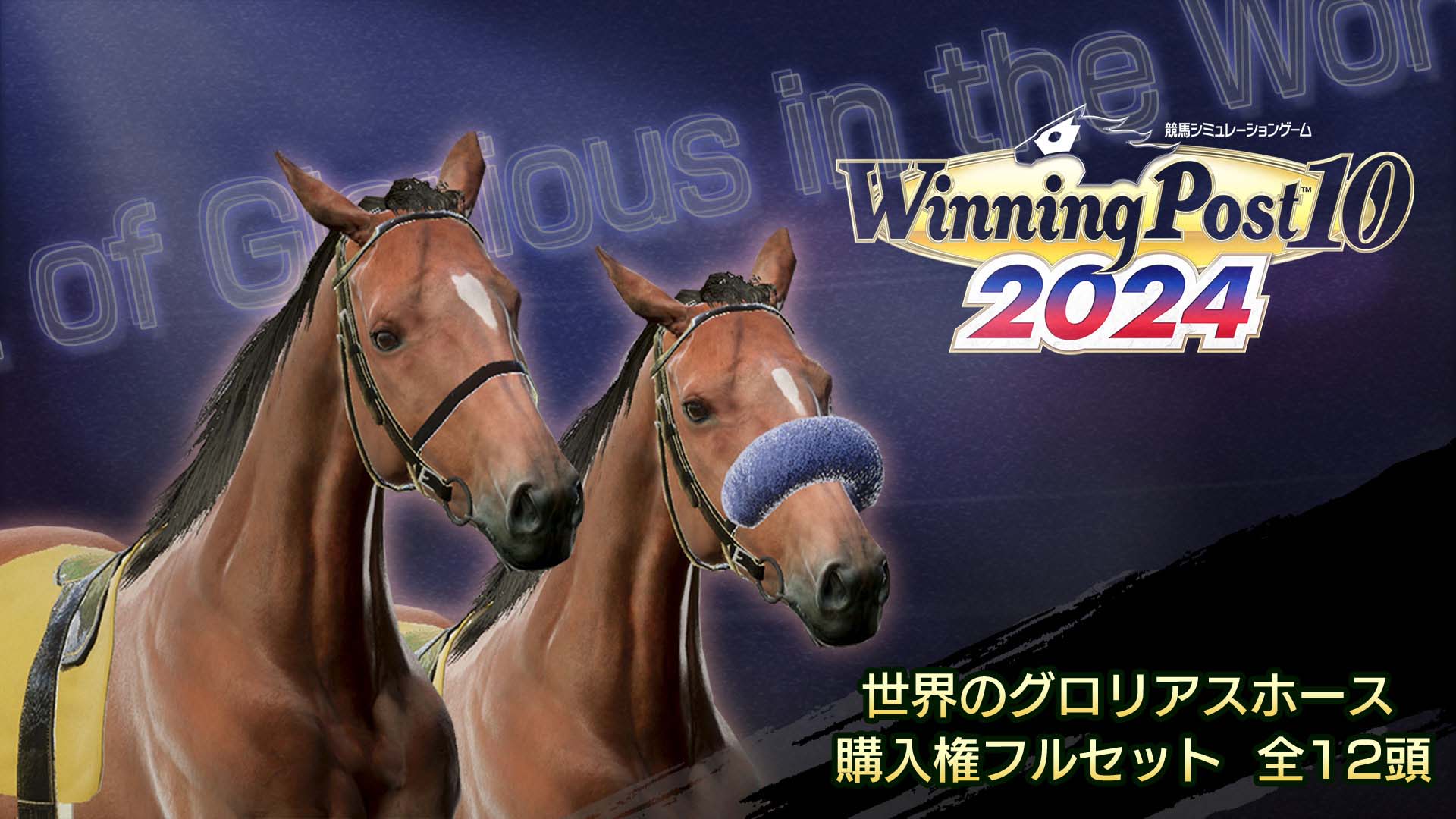WP10 2024 世界のグロリアスホース 購入権フルセット 全１２頭