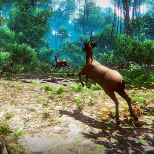 猎人射击训练营-游戏公社