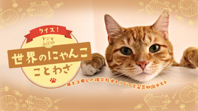 クイズ！世界のにゃんこことわざー猫ネコ癒しの雑学教養トリビア学習豆知識テストー