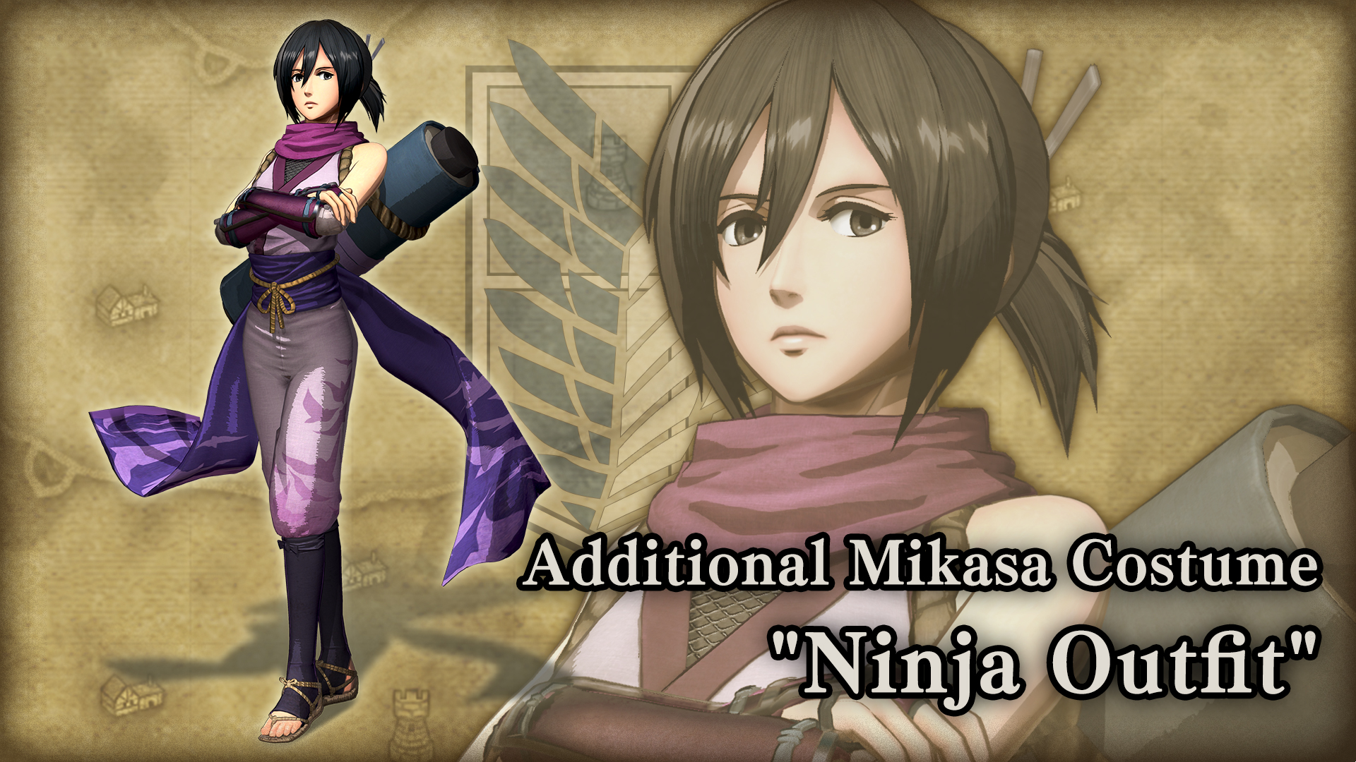 Additional Mikasa Costume: "Ninja Outfit"