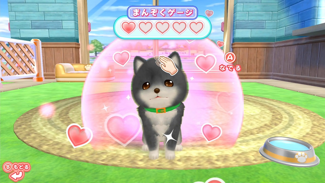 わんことあそぼ！　めざせドッグトレーナー！