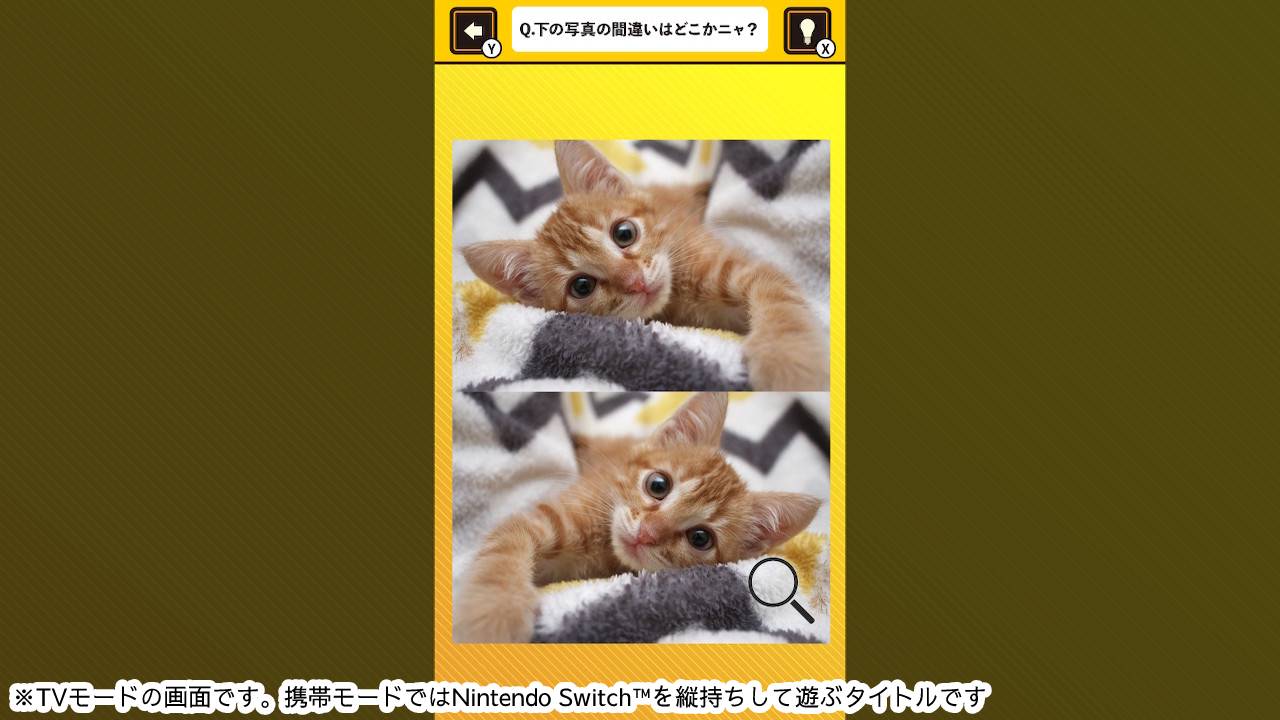 脳を鍛える! にゃんこ写真で間違い探しー猫ネコ癒しの脳トレ脳活教養学習パズルー