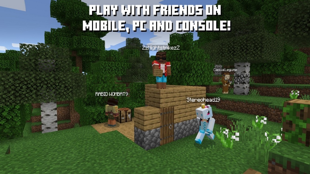 Minecraft Nintendo Switch Game, Edition, Digital, Download, Guide, Tips,  Cheats, DLC, Unofficial eBook by Hse Gamer - EPUB Book