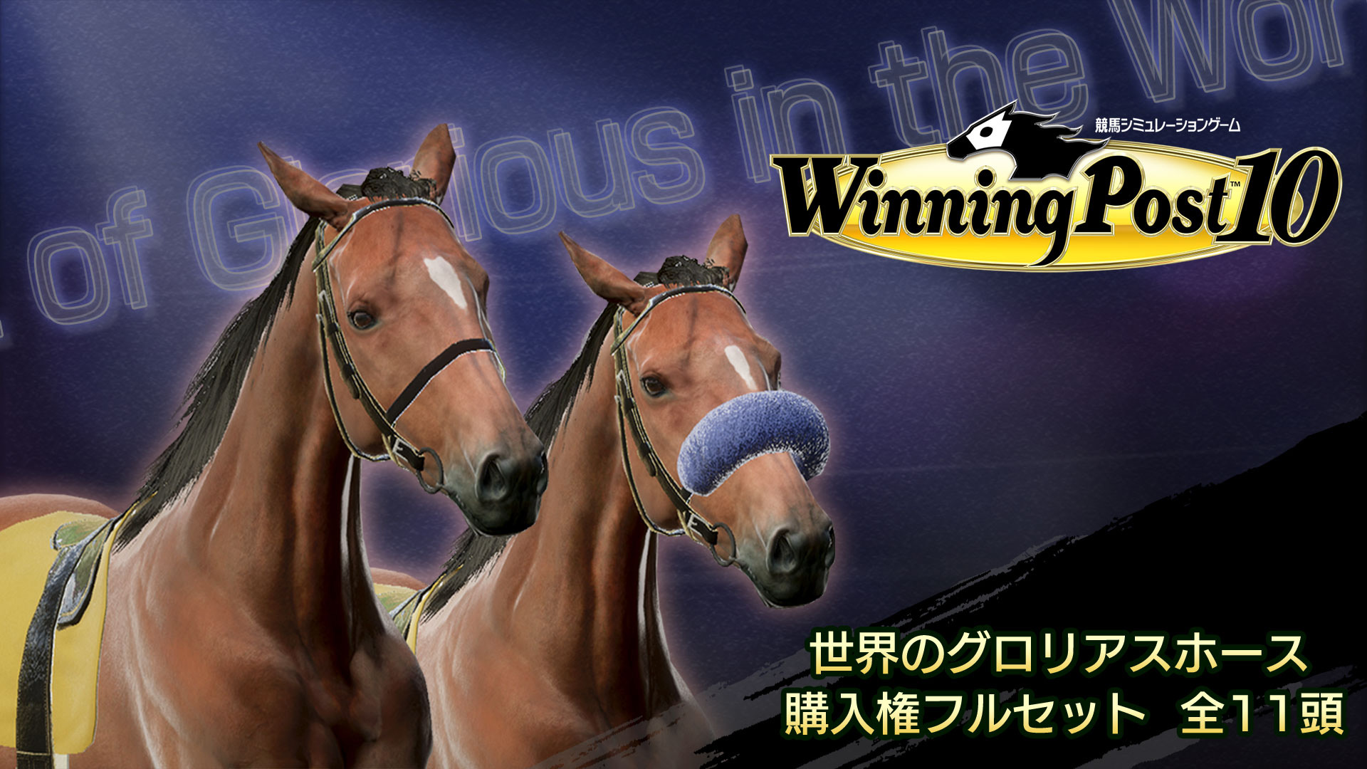 WP10 世界のグロリアスホース 購入権フルセット 全１１頭