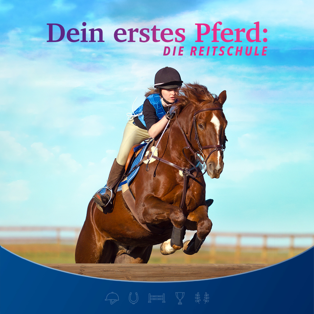 Dein erstes Pferd: Die Reitschule