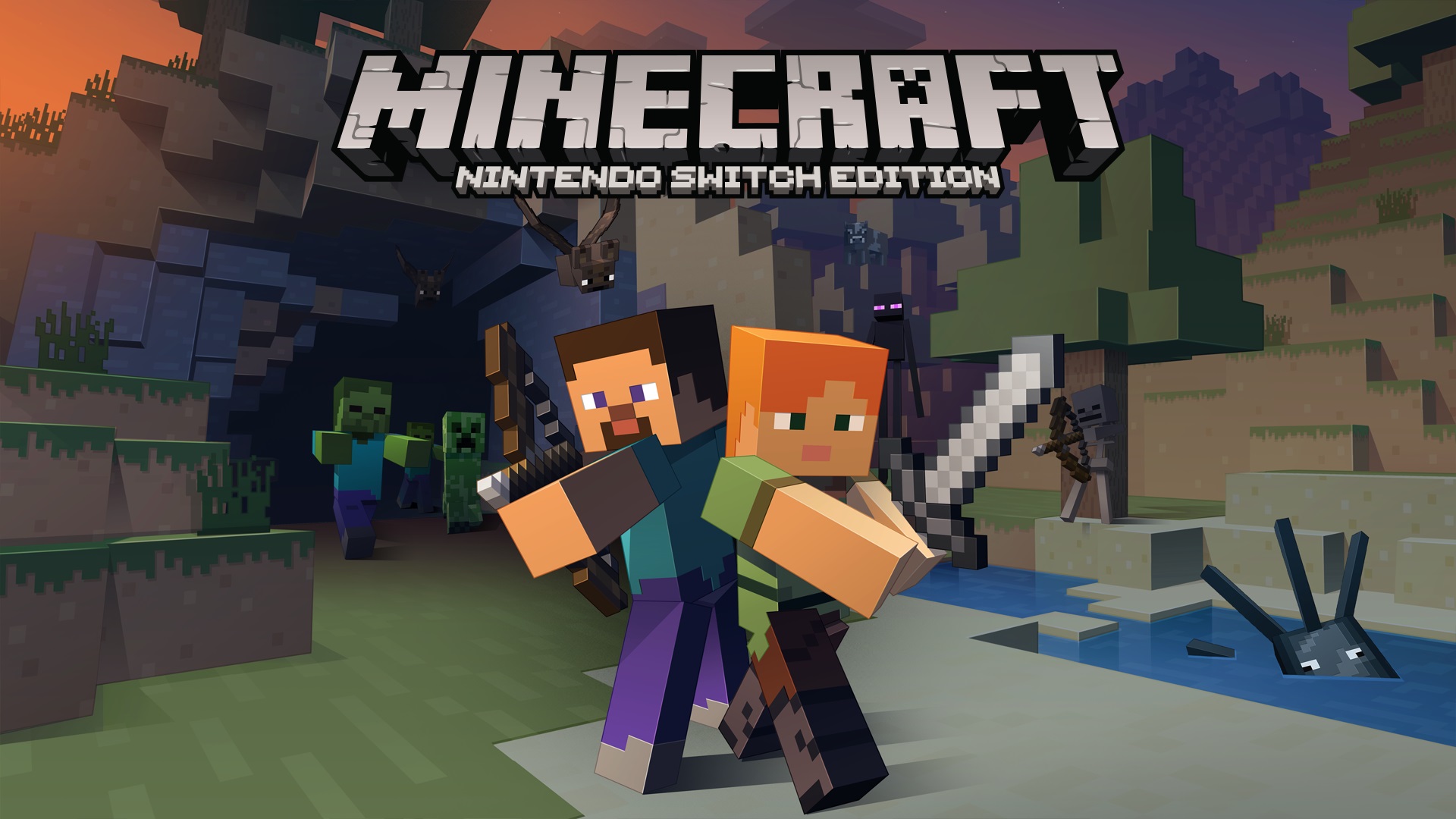Tørke Learner Hold op Downloadable Content/Minecraft: Nintendo Switch Edition/Nintendo Switch/ Nintendo