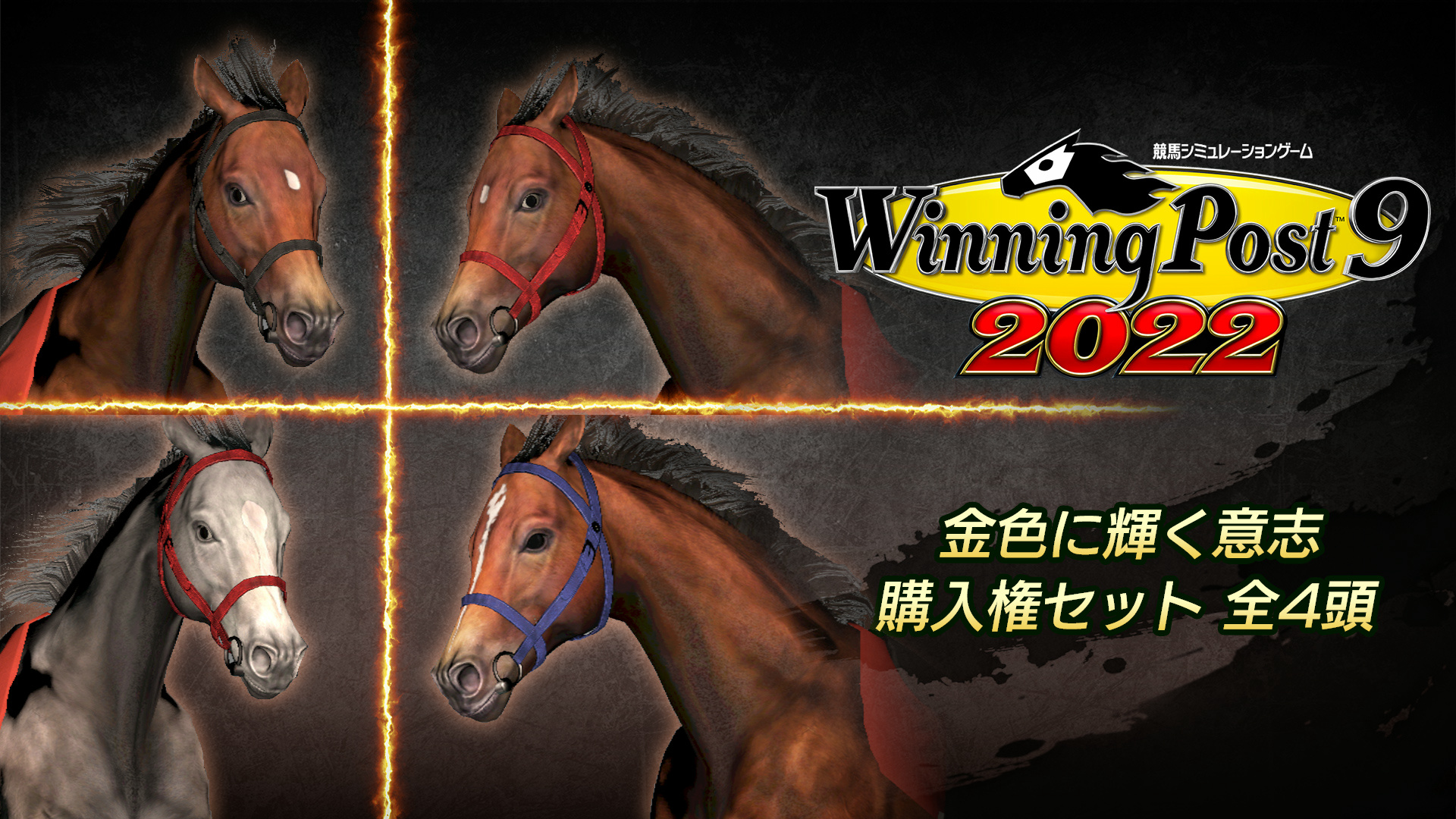 WP9 2022 金色に輝く意志 購入権セット 全４頭