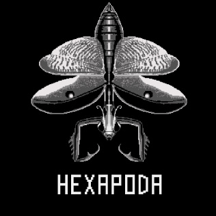 六足亚门-游戏公社