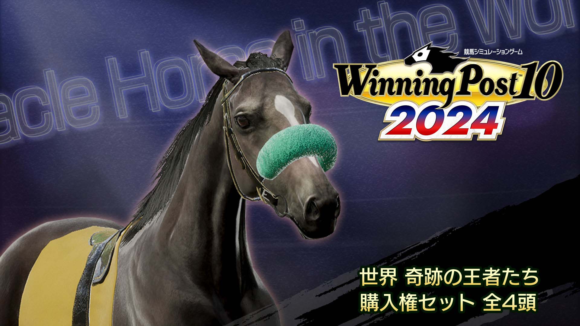 WP10 2024 世界 奇跡の王者たち 購入権セット 全４頭
