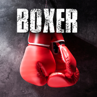 拳击手-游戏公社