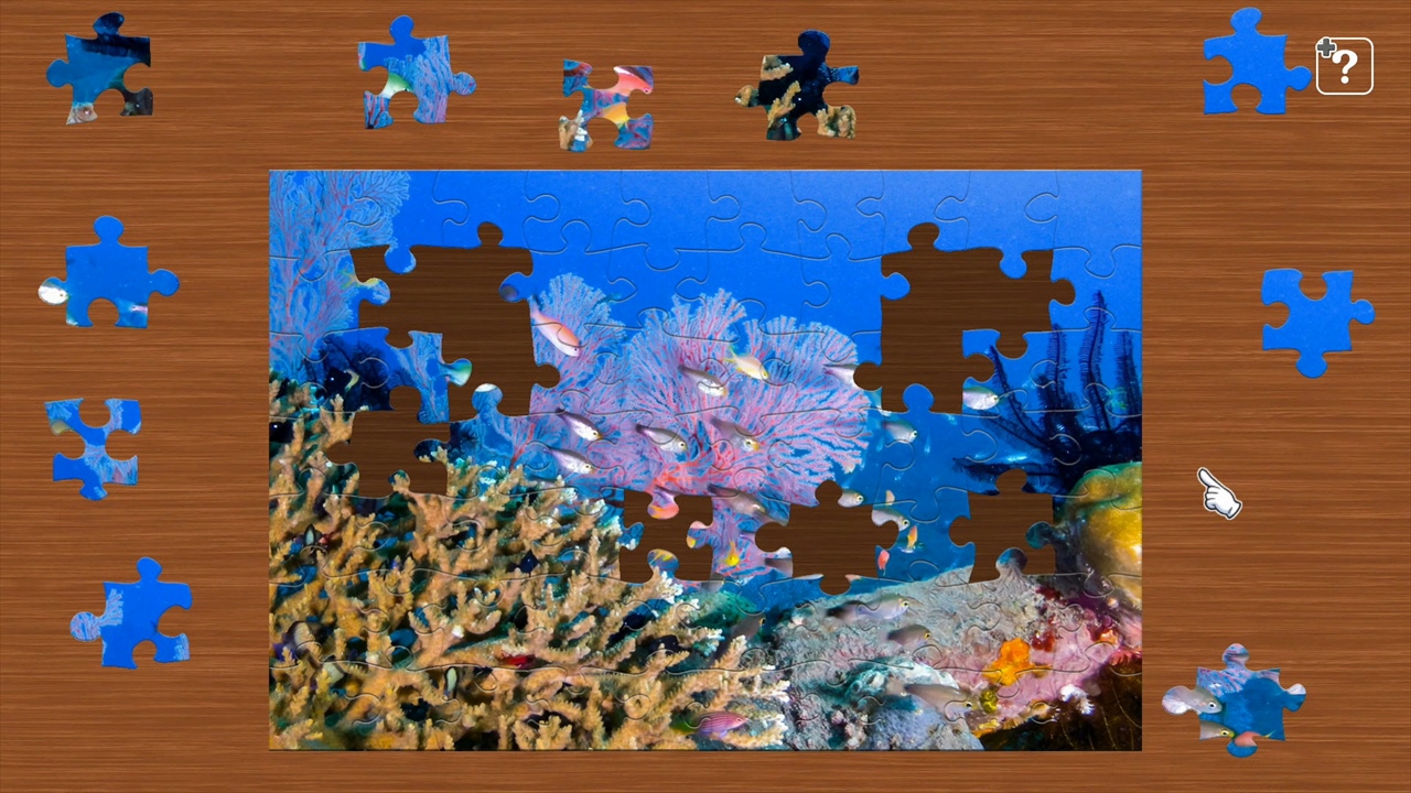 Jigsaw Masterpieces – Underwater Photography | Deku Deals