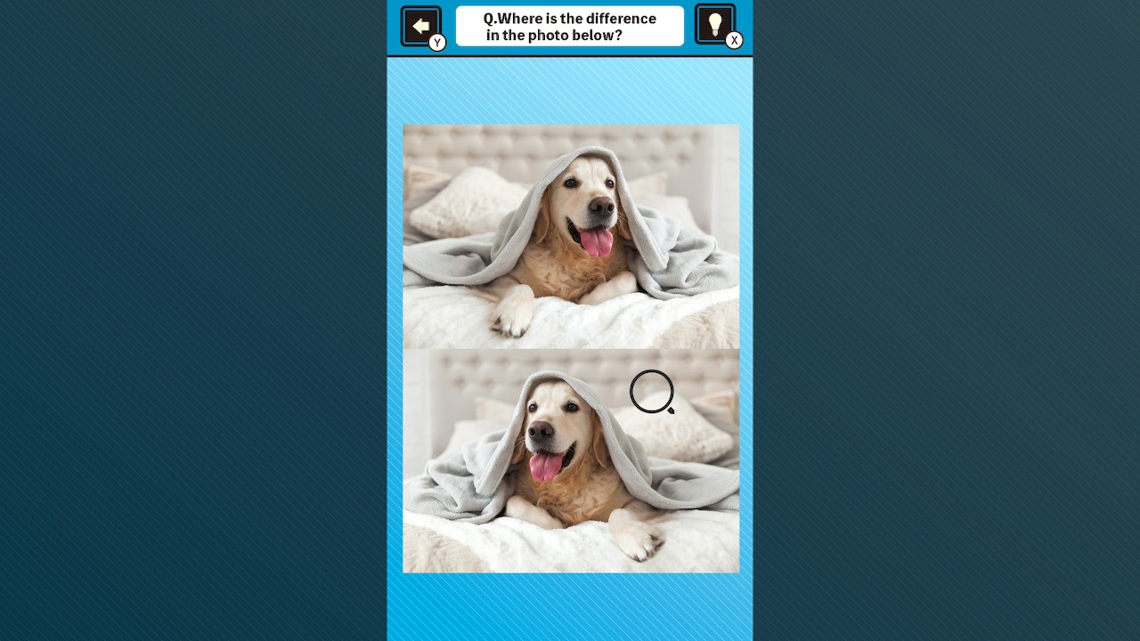 Train Your Brain! Spot the Difference with Dog Photos