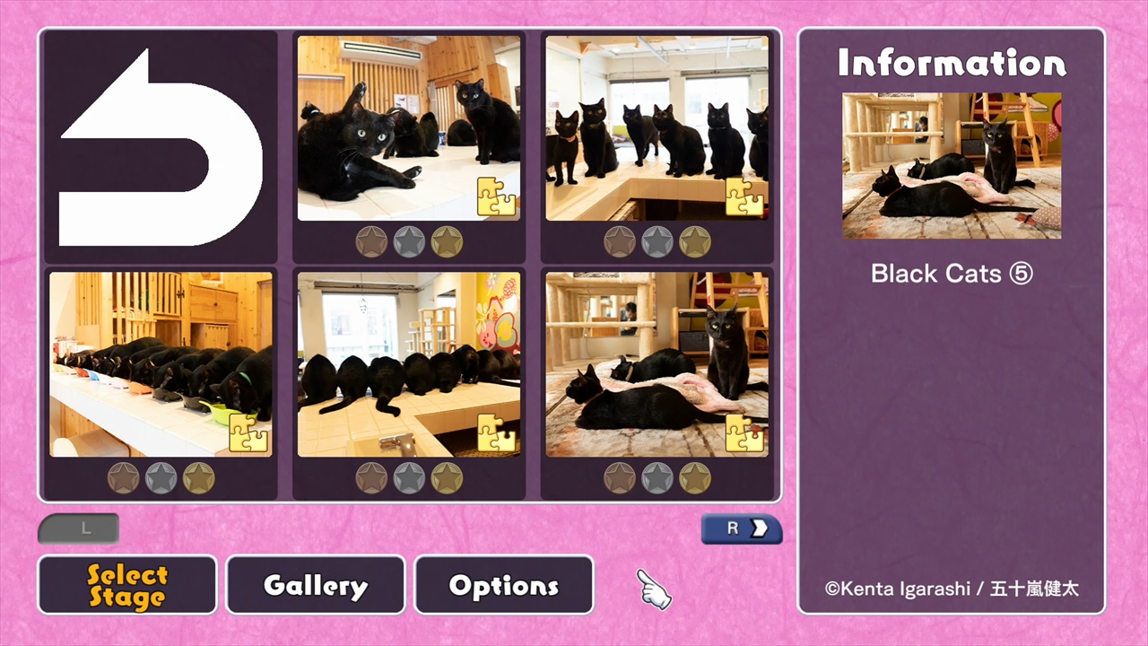 Black Cats in a Cat Welfare Cafe / Kenta Igarashi