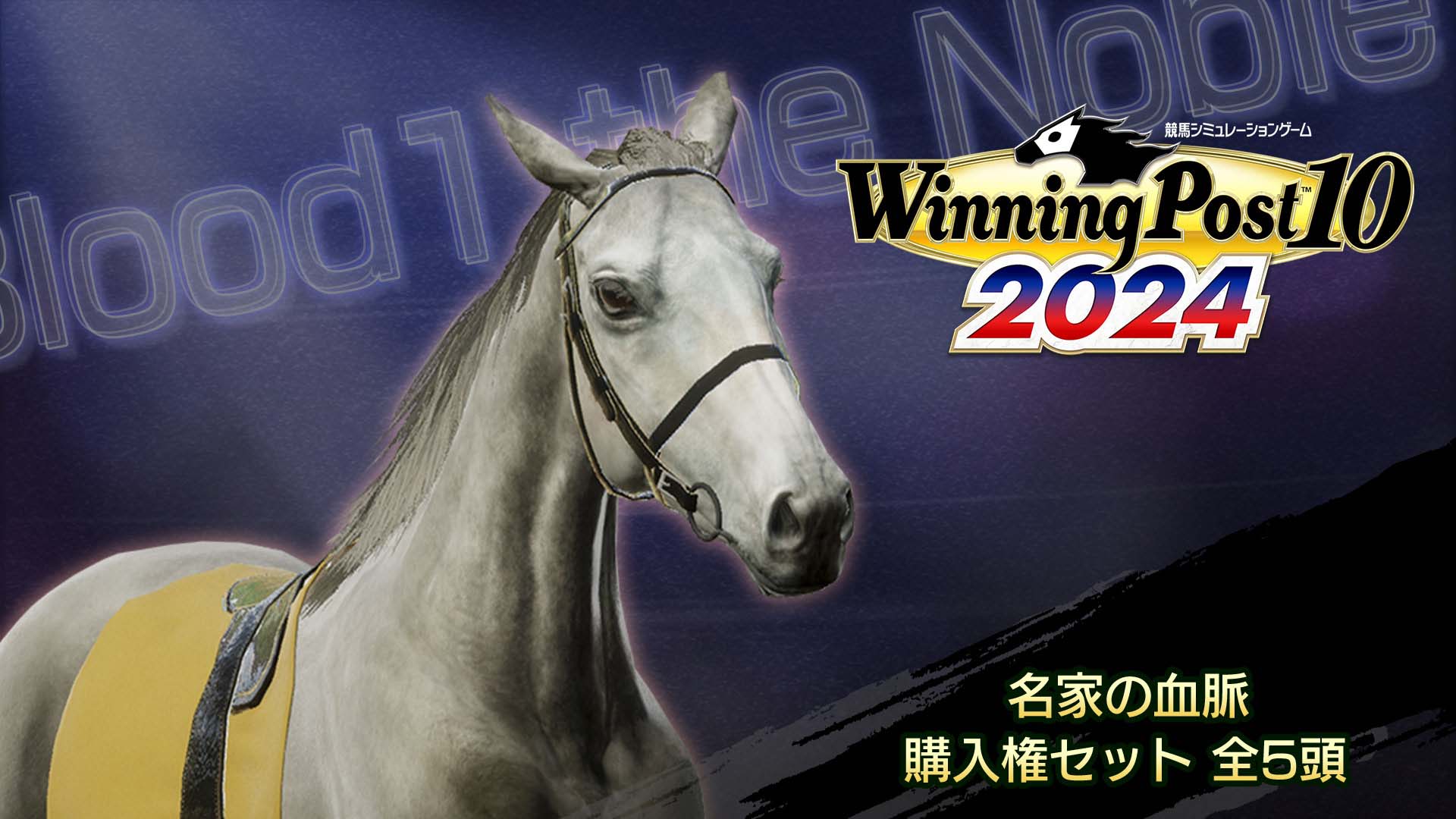 WP10 2024 名家の血脈 購入権セット 全５頭