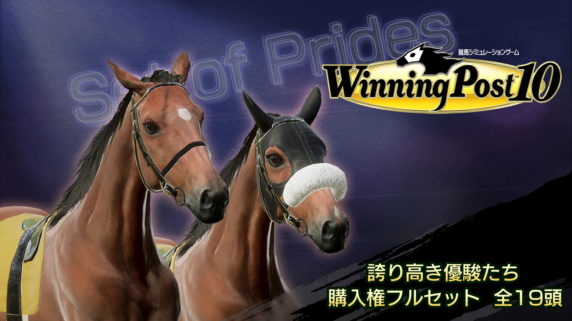 WP10 誇り高き優駿たち 購入権フルセット 全１９頭
