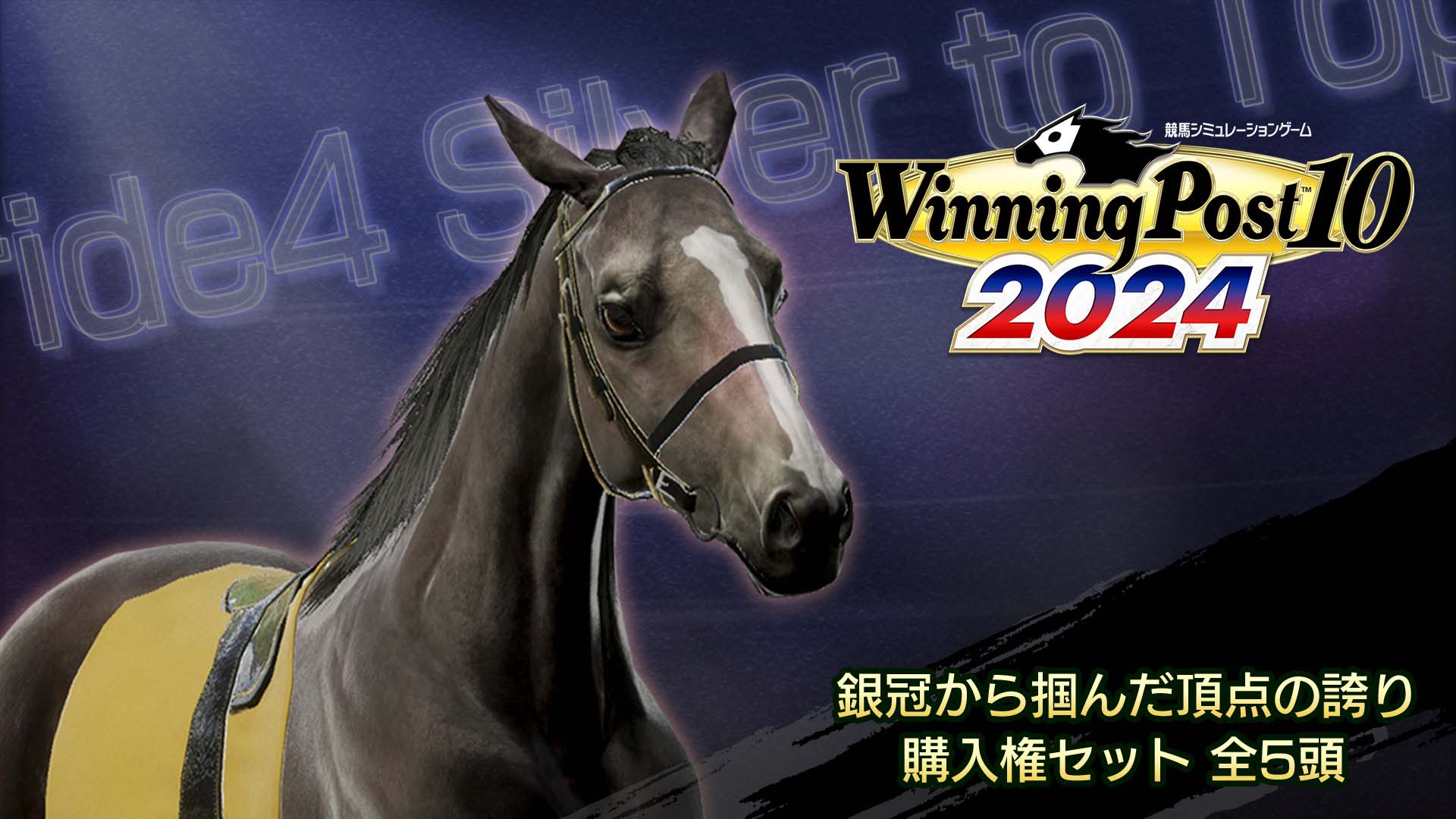 WP10 2024 銀冠から掴んだ頂点の誇り 購入権セット 全５頭