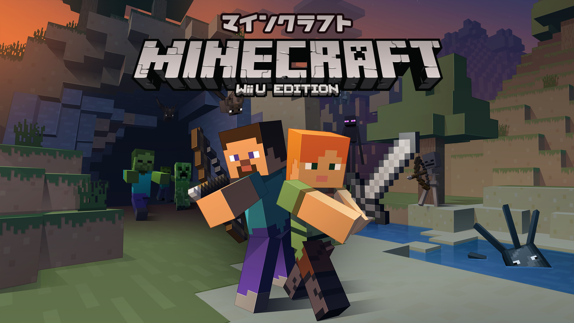 Minecraft for store the wii u