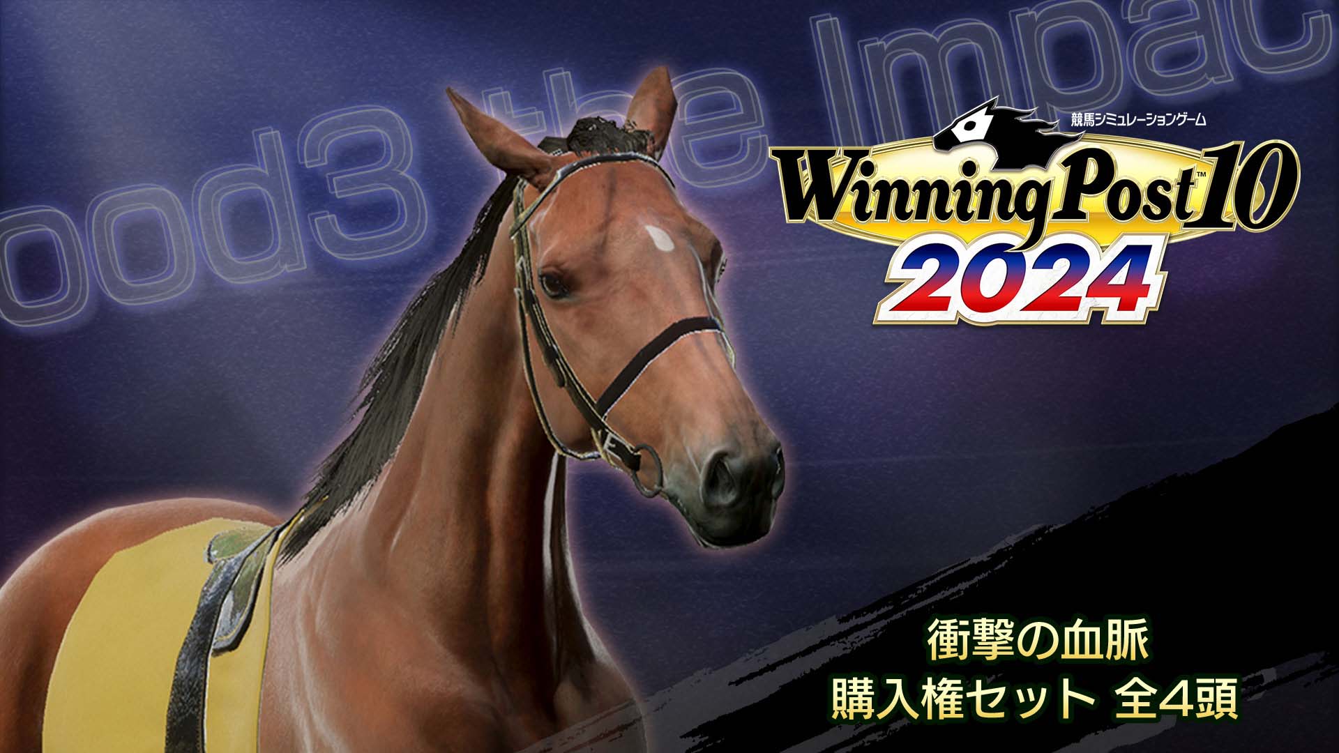 WP10 2024 衝撃の血脈 購入権セット 全４頭
