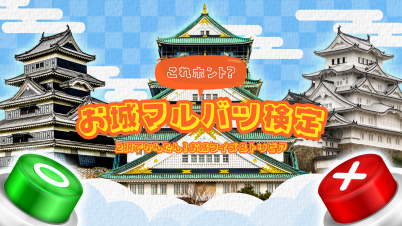 これホント？お城マルバツ検定ー2択でかんたん！お城クイズ＆トリビアー